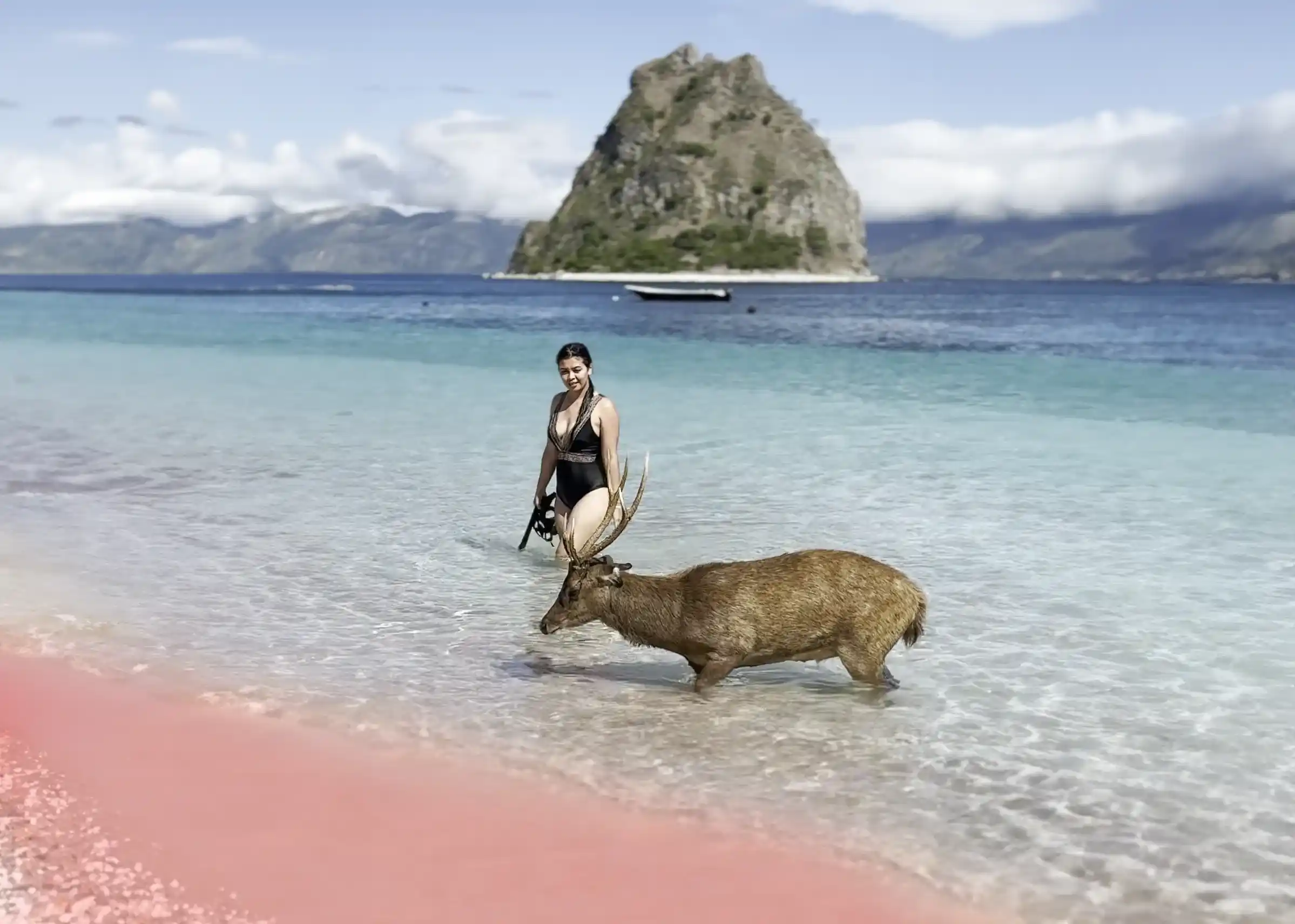 Pink Beach | Labuan Bajo Villa