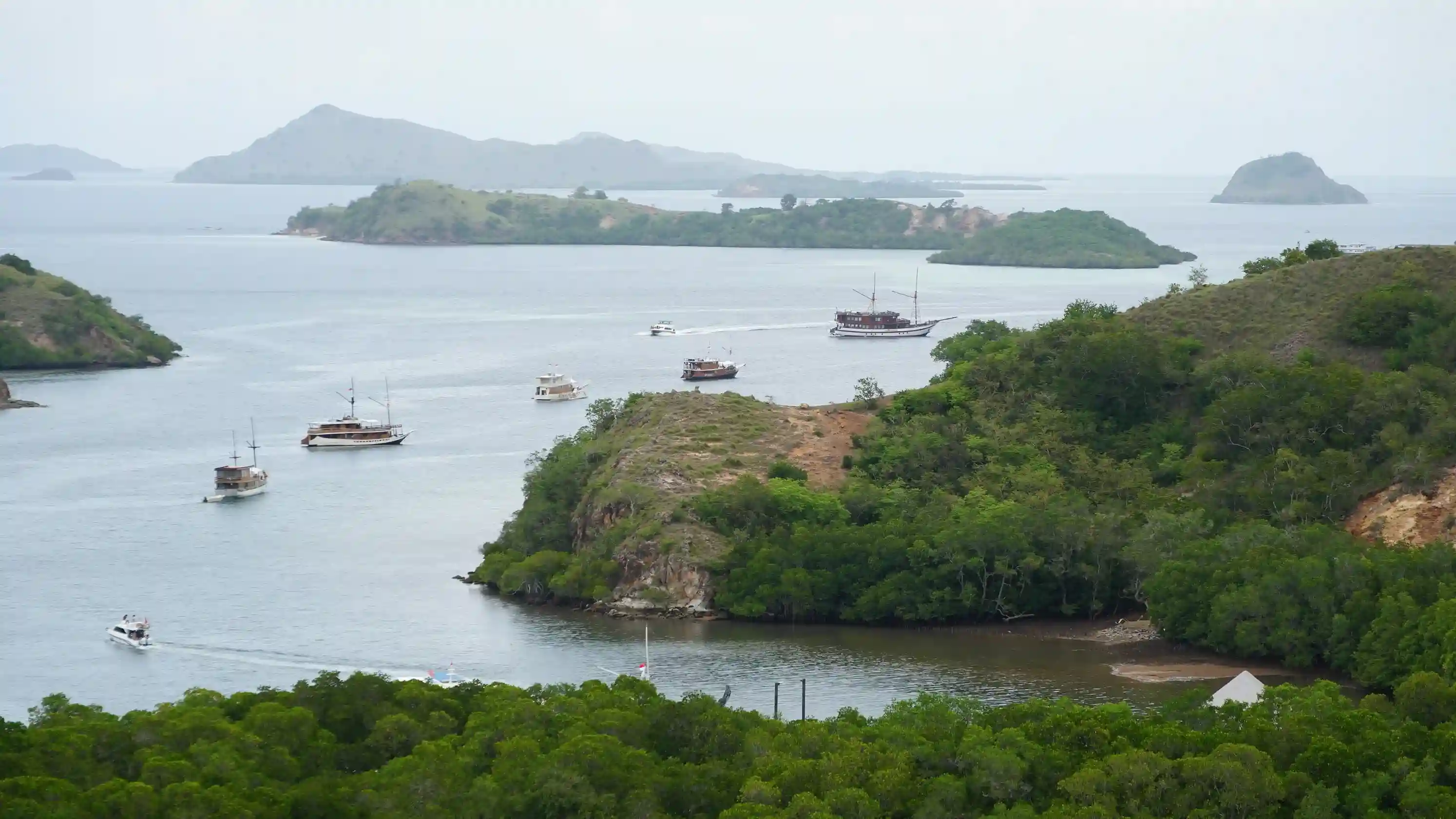 Morning Rinca Island Trek