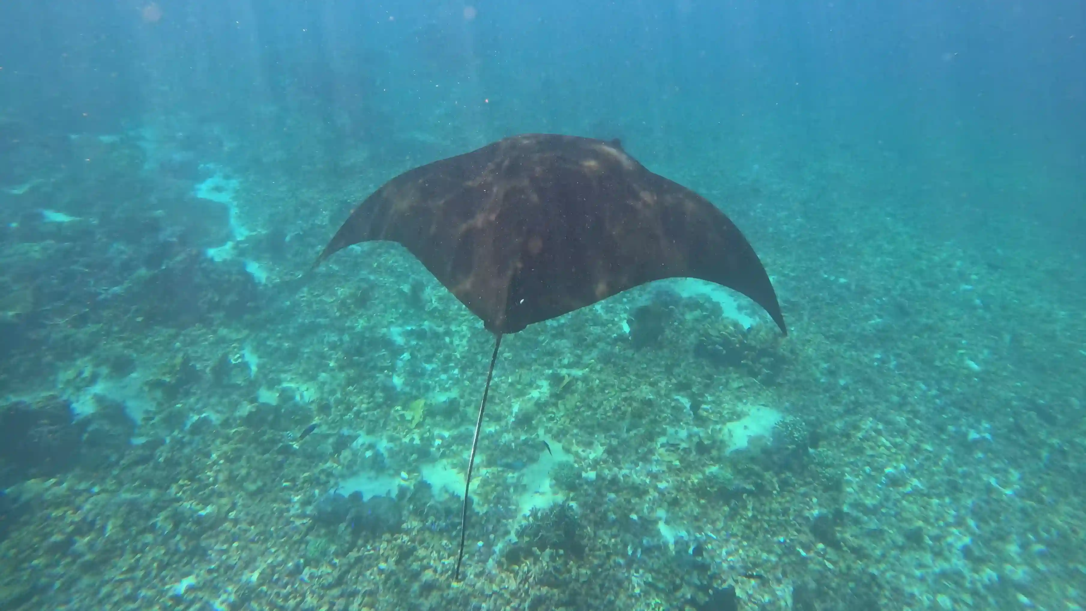 Komodo National Park