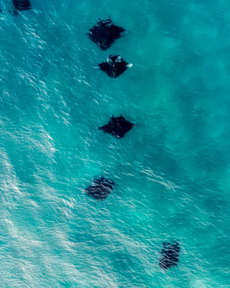 Custom Private Expeditions