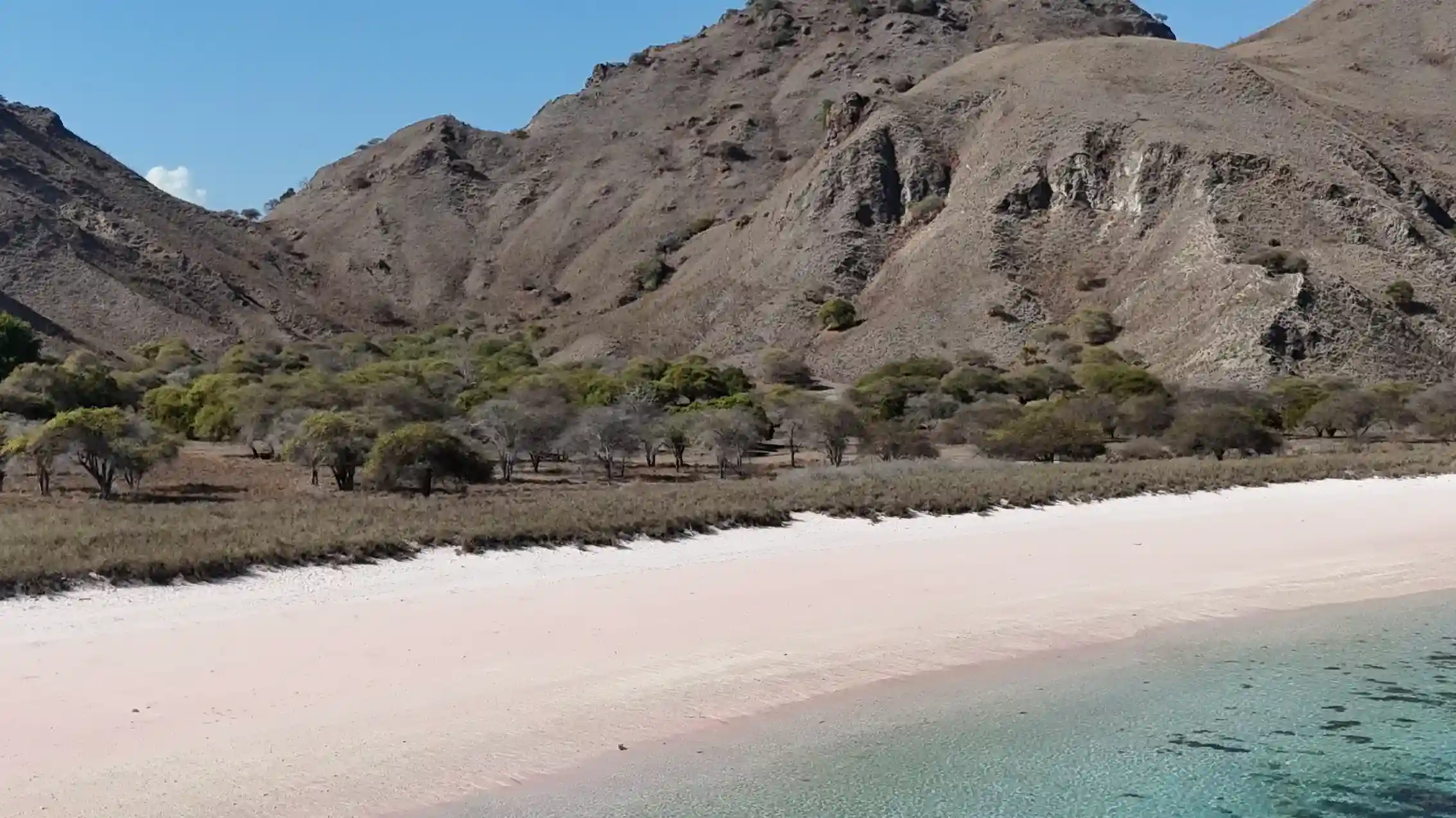 Padar Pink Beach