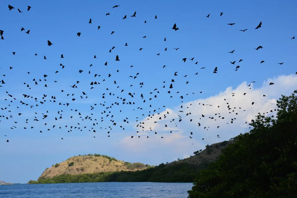 17 Islands Marine Park (Riung)