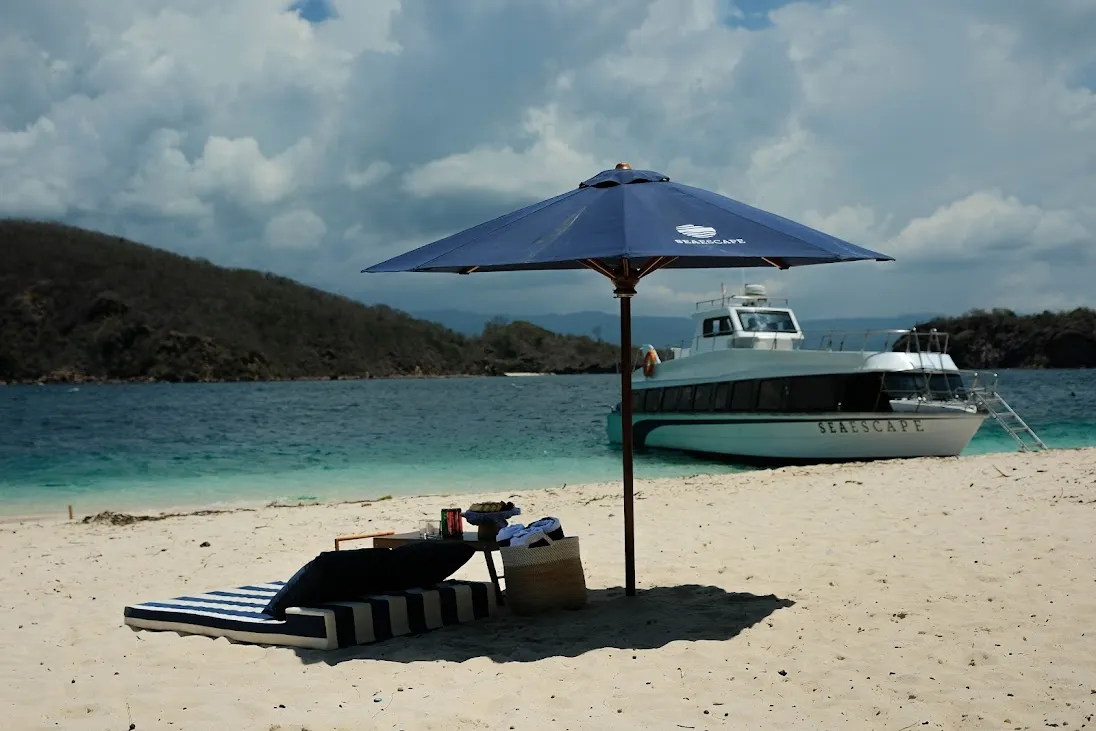 Komodo Island Day Tour from Labuan Bajo