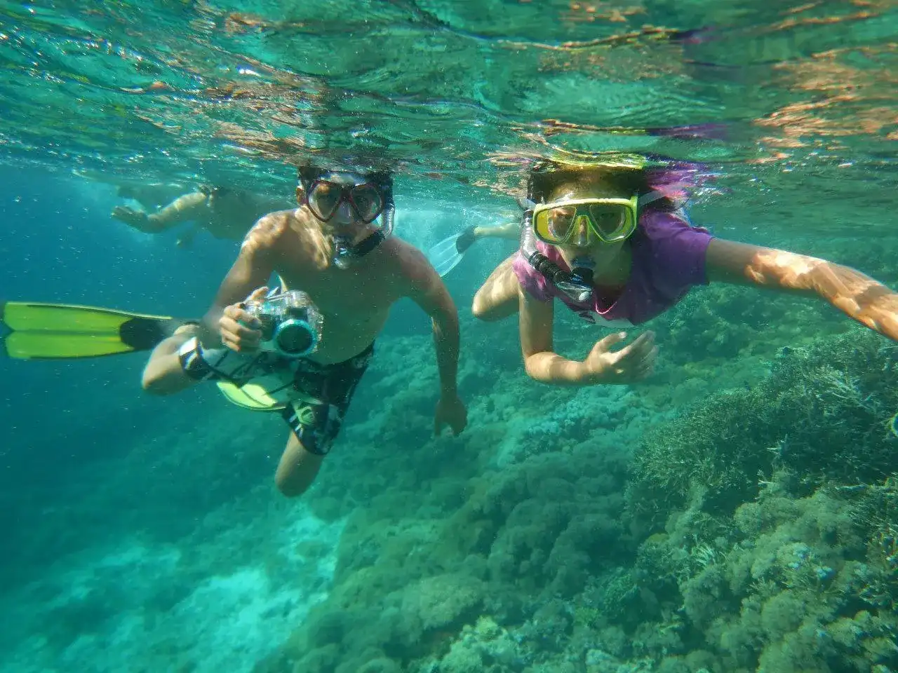 Half-Day Snorkeling Tour