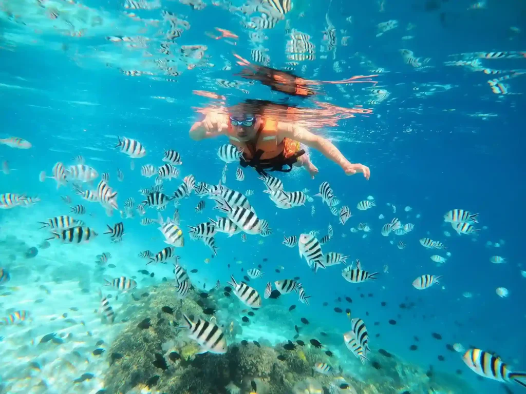 Coral Reef & Snorkeling Areas