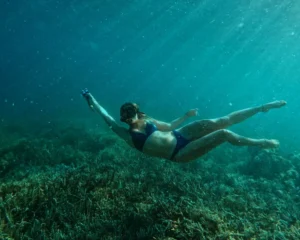 Komodo Adventure Documentation