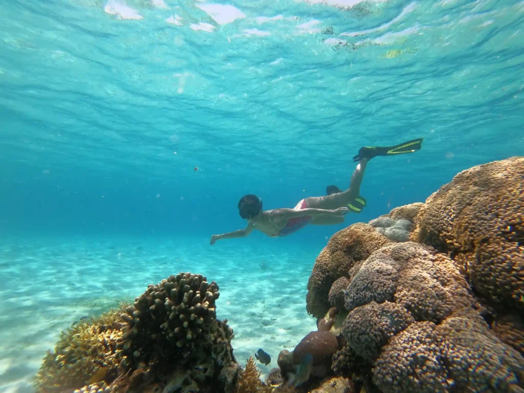 Underwater Marine Life - World-Class Diving Destination